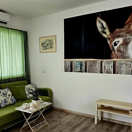 With A Magical View Apartament *