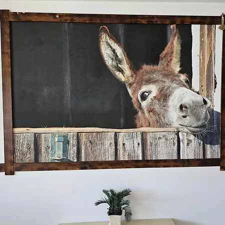 With A Magical View *