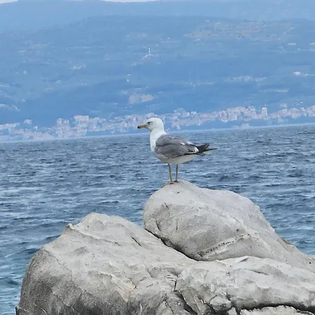 With A Magical View Apartmán